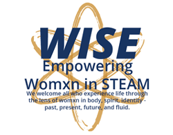 WiSE logo